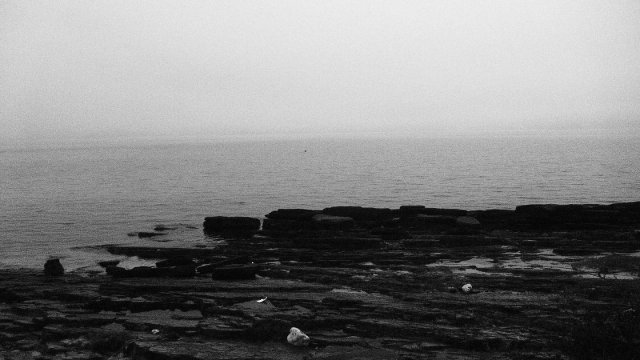 GeoPark (53)
